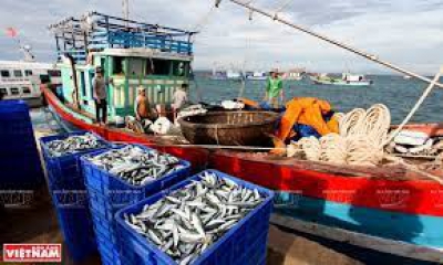 Phân tích chính sách “ngư nghiệp, ngư dân và ngư trường” của Việt Nam  trong giai đoạn hiện nay