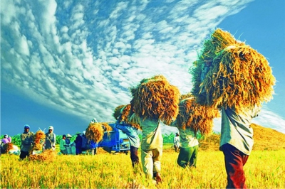 CƠ SỞ L&Yacute; LUẬN VỀ AN NINH LƯƠNG THỰC