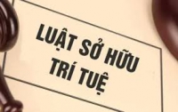 Tăng cường các biện pháp thực thi nhằm hoàn thiện pháp luật sở hữu trí tuệ ở một số nước châu Á