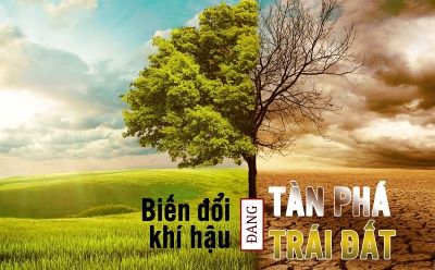 Biến đổi khí hậu hiện nay với hệ quả tác động từ con người