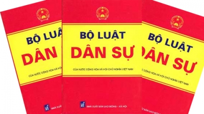 Một số góp ý về các biện pháp bảo đảm thực hiện nghĩa vụ dân sự trong dự thảo bộ luật dân sự
