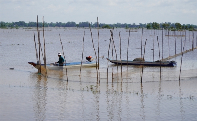 Phát triển kinh tế thị trường song song với việc bảo vệ và gìn giữ tài nguyên chung