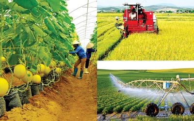Phân tích sự tác động của biện pháp phi thuế quan  đối với hàng nông sản nhập khẩu