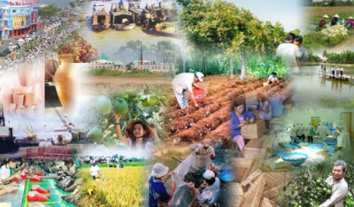 KỸ NĂNG THẢO LUẬN – TRANH LUẬN VỀ CÁC VẤN ĐỀ KINH TẾ  - XÃ HỘI CỦA ĐẠI BIỂU QUỐC HỘI