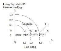 Chuyển dịch cơ cấu lao động - một số mô hình áp dụng