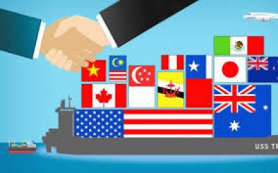 Khái quát chung về quá trình hình thành và phát triển các liên kết khu vực tự do thương mại