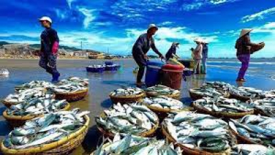 Giới thiệu về cộng đồng ngư dân Việt Nam