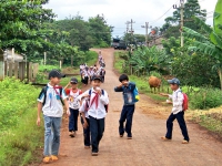 Đánh giá thực trạng công tác bình đẳng giới trong phát triển nông thôn.