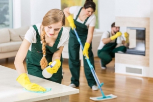 Ph&acirc;n t&iacute;ch c&aacute;c quy định về giao kết hợp đồng lao động đối với người gi&uacute;p việc gia đ&igrave;nh